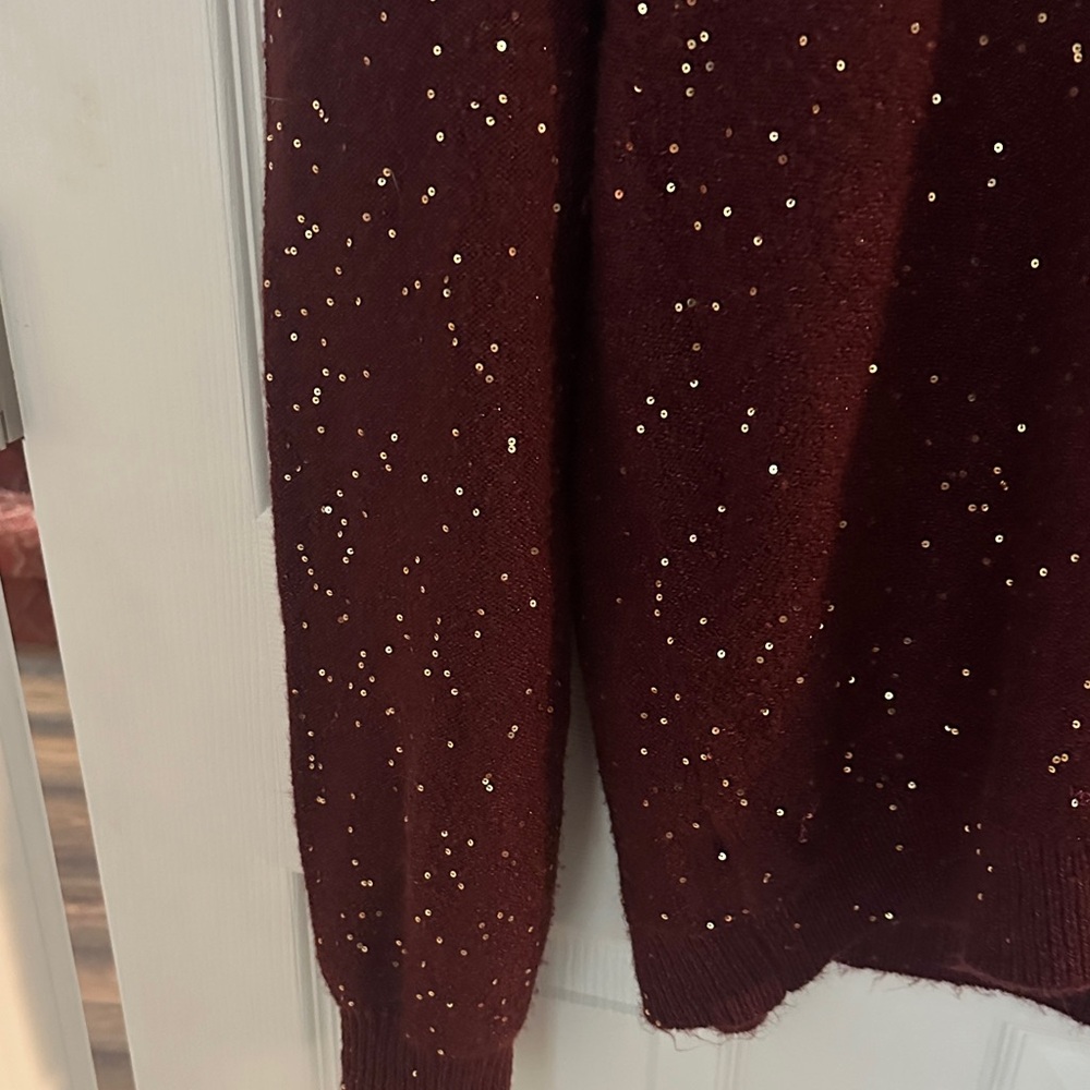 LOFT Burgundy V-Neck Sweater with Glitter Details - Picture 5 of 10